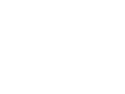 fishing net cruises logo