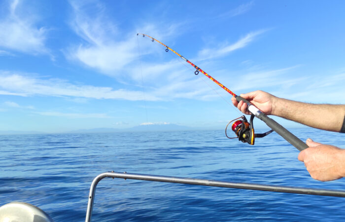 fishing with rod