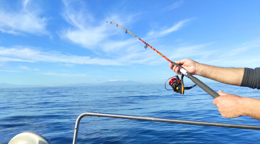 fishing with rod